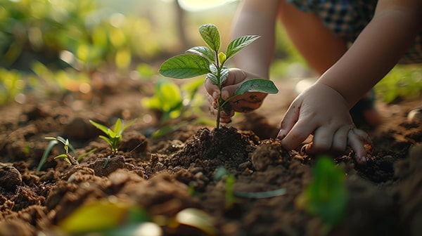 Towards a Greener World